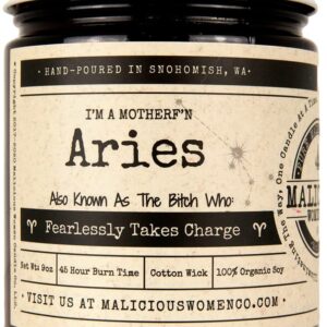 Malicious Women Candle Co - Aries The Zodiac Bitch - Fearlessly Takes Charge, A Hot Mess (Red Hot Cinnamon), All-Natural Organic Soy Candle, 9 oz