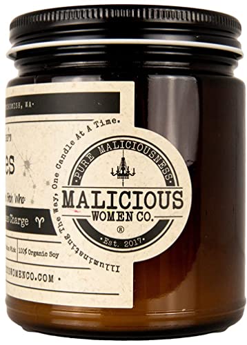 Malicious Women Candle Co - Aries The Zodiac Bitch - Fearlessly Takes Charge, A Hot Mess (Red Hot Cinnamon), All-Natural Organic Soy Candle, 9 oz