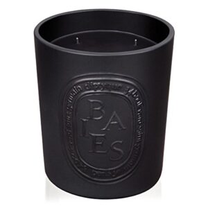 diptyque baies indoor/outdoor ceramic candle-51.3 oz., large (b1500xx)