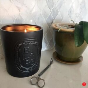 Diptyque Baies Indoor/Outdoor Ceramic Candle-51.3 oz., Large (B1500xx)