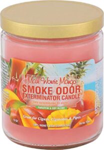 smoke odor exterminator 13 oz jar candles maui wowie mango, (2)