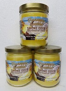 smoke odor exterminator 13 oz jar candles pineapple & coconut, (3)