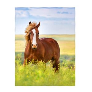 qh 60 x 80 inch beautiful horse pattern super soft throw blanket for bed sofa lightweight blanket throw size for kids adults all season