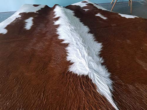 eCowhides Hereford Brazilian Cowhide Area Rug, Cowskin Leather Hide for Home Living Room (Large) 6 x 6 ft