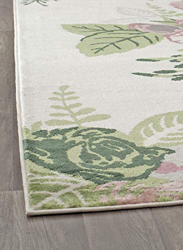 Rugs America Hanna VA40A Rose Garden Cream Floral Transitional Area Rug, 5'x7'