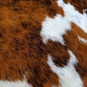 Brindle White Belly Cowhide Rug Cow Hide Skin Leather Area Rug: Large