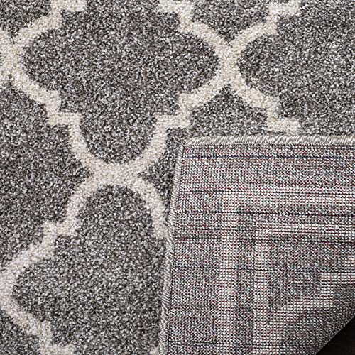 SAFAVIEH Amherst Collection 3' x 5' Dark Grey/Beige AMT422R Moroccan Trellis Non-Shedding Living Room Bedroom Accent Rug