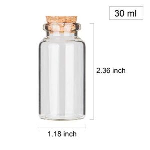 64PCS 30ml Cork Stoppers Glass Bottles, Small Jars With Personalized Label Tags and String, Mini Bottles Of Candy, Wedding Favors For Guests, Set of 64