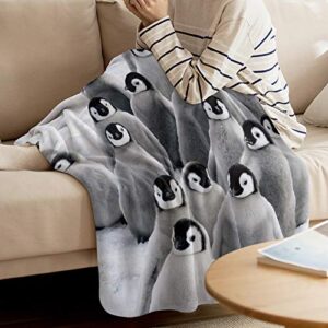 LUSWEET Throw Blanket Warm Fuzzy Plush Blanket Flannel Fleece Bed Blanket Cute Penguins Fun Art Lightweight Blanket Throw for Sofa Bed Couch 40x50 Inch