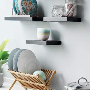 WELLAND Set of 2 Floating Shelves Wall Mounted Shelf, for Home Decor with 8" Deep (Black, 10 inch)