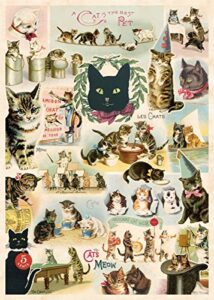 cavallini decorative wrap poster cat, 20 x 28 inch italian archival paper (wrap/cat)
