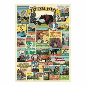 Cavallini Decorative Wrap Poster, National Parks, 20 x 28 inch Italian Archival Paper (WRAP/NP)