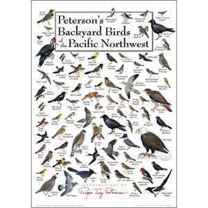 Earth Sky + Water - Peterson’s Backyard Birds of The Pacific Northwest