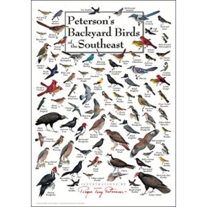 earth sky + water – peterson’s backyard birds of the southeast – poster