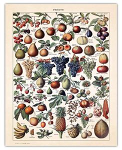 vintage fruits illustration: farmhouse kitchen wall art decoration & decor – 11×14 unframed art print signs, aesthetic pictures & unique art wall poster decorations for the kitchen