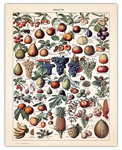 Vintage Fruits Illustration: Farmhouse Kitchen Wall Art Decoration & Decor - 11x14 Unframed Art Print Signs, Aesthetic Pictures & Unique Art Wall Poster Decorations for the Kitchen