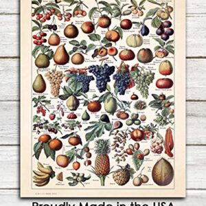 Vintage Fruits Illustration: Farmhouse Kitchen Wall Art Decoration & Decor - 11x14 Unframed Art Print Signs, Aesthetic Pictures & Unique Art Wall Poster Decorations for the Kitchen