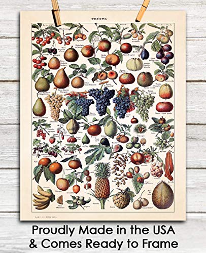 Vintage Fruits Illustration: Farmhouse Kitchen Wall Art Decoration & Decor - 11x14 Unframed Art Print Signs, Aesthetic Pictures & Unique Art Wall Poster Decorations for the Kitchen