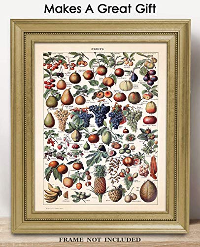 Vintage Fruits Illustration: Farmhouse Kitchen Wall Art Decoration & Decor - 11x14 Unframed Art Print Signs, Aesthetic Pictures & Unique Art Wall Poster Decorations for the Kitchen