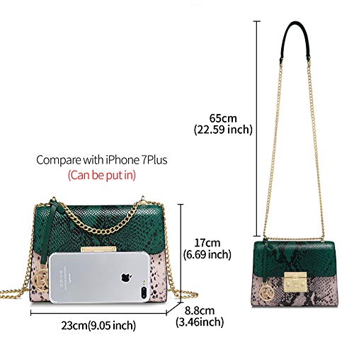 LAORENTOU Shoulder Bags Womens Snake Skin Handbag Purses, Ladies Cow Leather Chain Purse & Crossbody Handbags for Women with Chain Strap (Green)