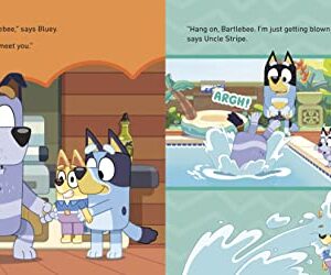 Bluey: Christmas Swim