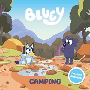 bluey: camping