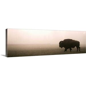 A Bison in Mist - Panoramic Canvas Wall Art Print, Wyoming Artwork