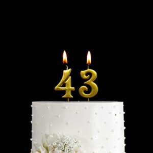 MAGJUCHE Gold 43nd Birthday Numeral Candle, Number 43 Cake Topper Candles Party Decoration for Women or Men