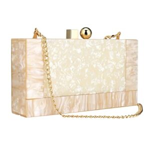 Black and White Purse Acrylic Clutch Evening Handbags Crossbody Bags for Women (Gold)