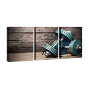 modular dumbbells painting modern home decor poster 3 pieces hd printed fitness bodybuilding gym canvas wall art wooden art
