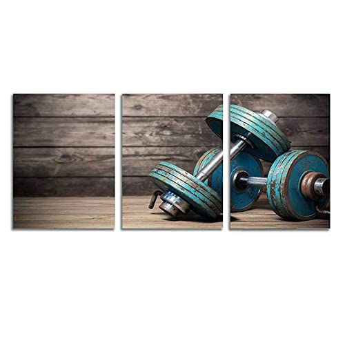 Modular Dumbbells Painting Modern Home Decor Poster 3 Pieces HD Printed Fitness Bodybuilding Gym Canvas Wall Art Wooden Art