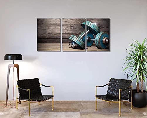 Modular Dumbbells Painting Modern Home Decor Poster 3 Pieces HD Printed Fitness Bodybuilding Gym Canvas Wall Art Wooden Art