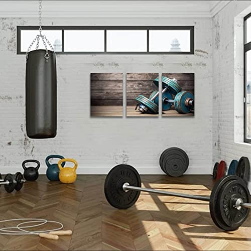 Modular Dumbbells Painting Modern Home Decor Poster 3 Pieces HD Printed Fitness Bodybuilding Gym Canvas Wall Art Wooden Art