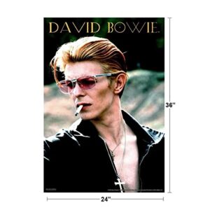 David Bowie - Rebel Poster 24 x 36in