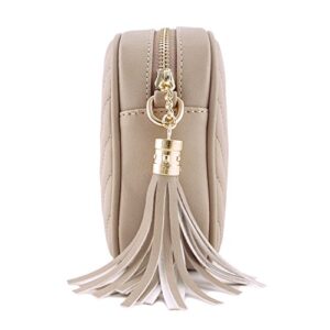 Simple Shoulder Crossbody Bag With Metal Chain Strap And Tassel Top Zipper (Taupe)