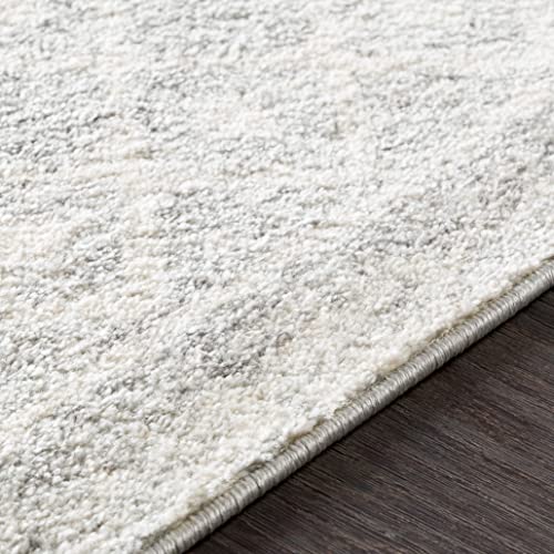 Artistic Weavers Chester Area Rugs, Grey