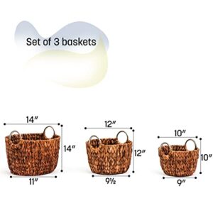 Trademark Innovations Set of 3 Round Hyacinth Baskets with Stainless Steel Handles-Rich Chocolate Finish
