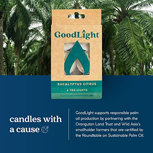 GOODLIGHT Candles Tea Lights Eucalyptus Citrus, 6 CT