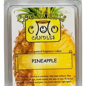 6 Pack Soy Blend Wickless Candle Wax Bar Tart Melts - Fruity Pack - Includes one 6 Cube Package of Each of Fruity Loops, Lemon Pucker, Mango Papaya, Pomegranate, Pineapple, and Apple Orchard