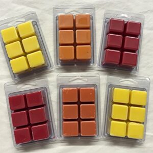 6 Pack Soy Blend Wickless Candle Wax Bar Tart Melts - Fruity Pack - Includes one 6 Cube Package of Each of Fruity Loops, Lemon Pucker, Mango Papaya, Pomegranate, Pineapple, and Apple Orchard