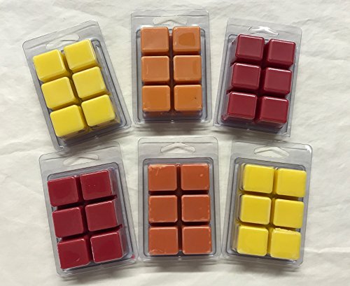 6 Pack Soy Blend Wickless Candle Wax Bar Tart Melts - Fruity Pack - Includes one 6 Cube Package of Each of Fruity Loops, Lemon Pucker, Mango Papaya, Pomegranate, Pineapple, and Apple Orchard