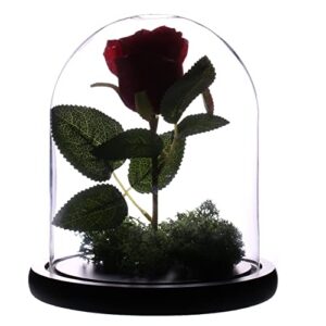 Artlass Glass Cloche Bell Jar Display Dome with Black Wooden Base 6" x 7"