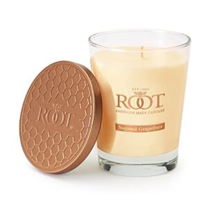 root candles 8870296 honeycomb veriglass scented beeswax blend candle, large, sugared grapefruit