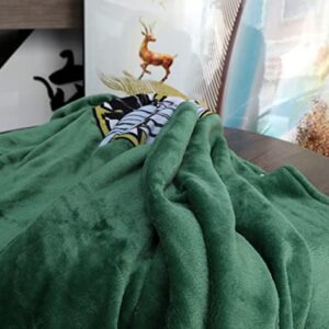 Anime Throw Blanket Flannel Fleece Blanket Cosplay Hooded Cloak Shawl Wrap Nap Quilt (Green, 47''X 65'')