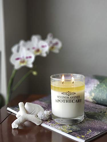 Apothecary Glass Jar Double Wick 14 Ounce Aromatherapy Soy Candle (Tobacco & Vanilla Bourbon)