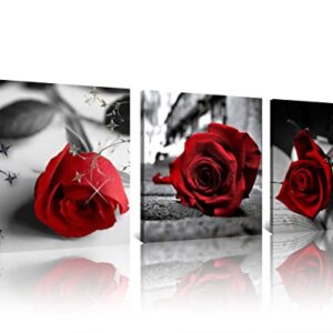 NAN Wind Canvas Print 3 Pcs Black and White Red Rose Canvas Art Painting Abstract Wall Art Decorations Flower Picture on Canvas for Home Decor Stretched and Framed