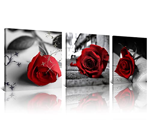 NAN Wind Canvas Print 3 Pcs Black and White Red Rose Canvas Art Painting Abstract Wall Art Decorations Flower Picture on Canvas for Home Decor Stretched and Framed