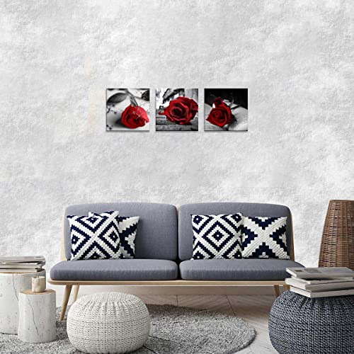 NAN Wind Canvas Print 3 Pcs Black and White Red Rose Canvas Art Painting Abstract Wall Art Decorations Flower Picture on Canvas for Home Decor Stretched and Framed