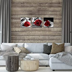 NAN Wind Canvas Print 3 Pcs Black and White Red Rose Canvas Art Painting Abstract Wall Art Decorations Flower Picture on Canvas for Home Decor Stretched and Framed