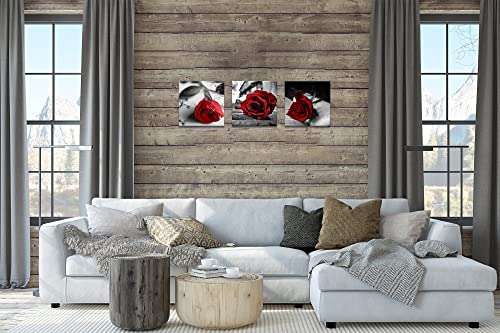 NAN Wind Canvas Print 3 Pcs Black and White Red Rose Canvas Art Painting Abstract Wall Art Decorations Flower Picture on Canvas for Home Decor Stretched and Framed